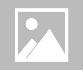 【视频】霍震霆：十五运会成深港文化交流纽带，象棋有助港人了解国家文化