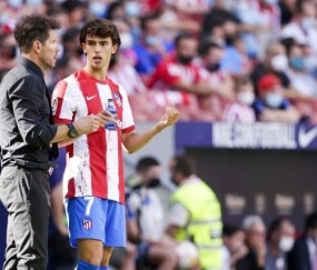 开云app下载入口官网-1.26亿欧元先生 费利克斯是金童 可当年他不自信